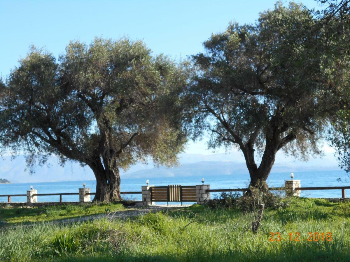 Lukia Barbati Mare Βίλα Εξωτερικό φωτογραφία